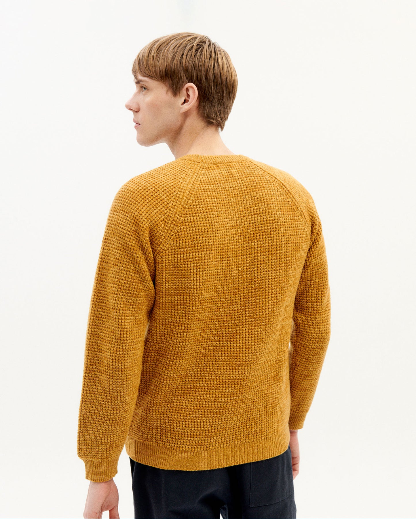 anteros knitted sweater, mustard, herren - thinking mu