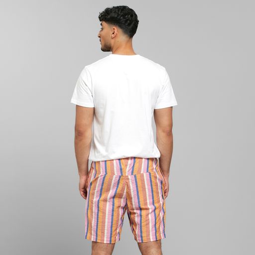 shorts vejle stripe multi color, herren - dedicated