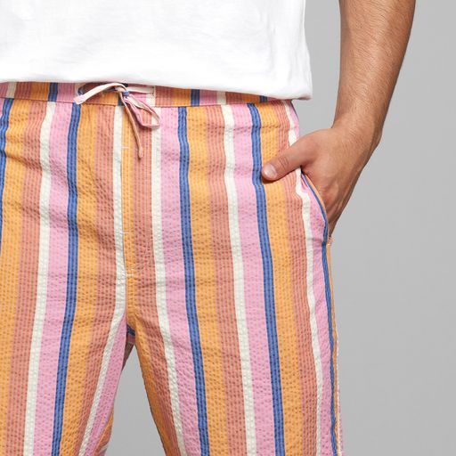 shorts vejle stripe multi color, herren - dedicated