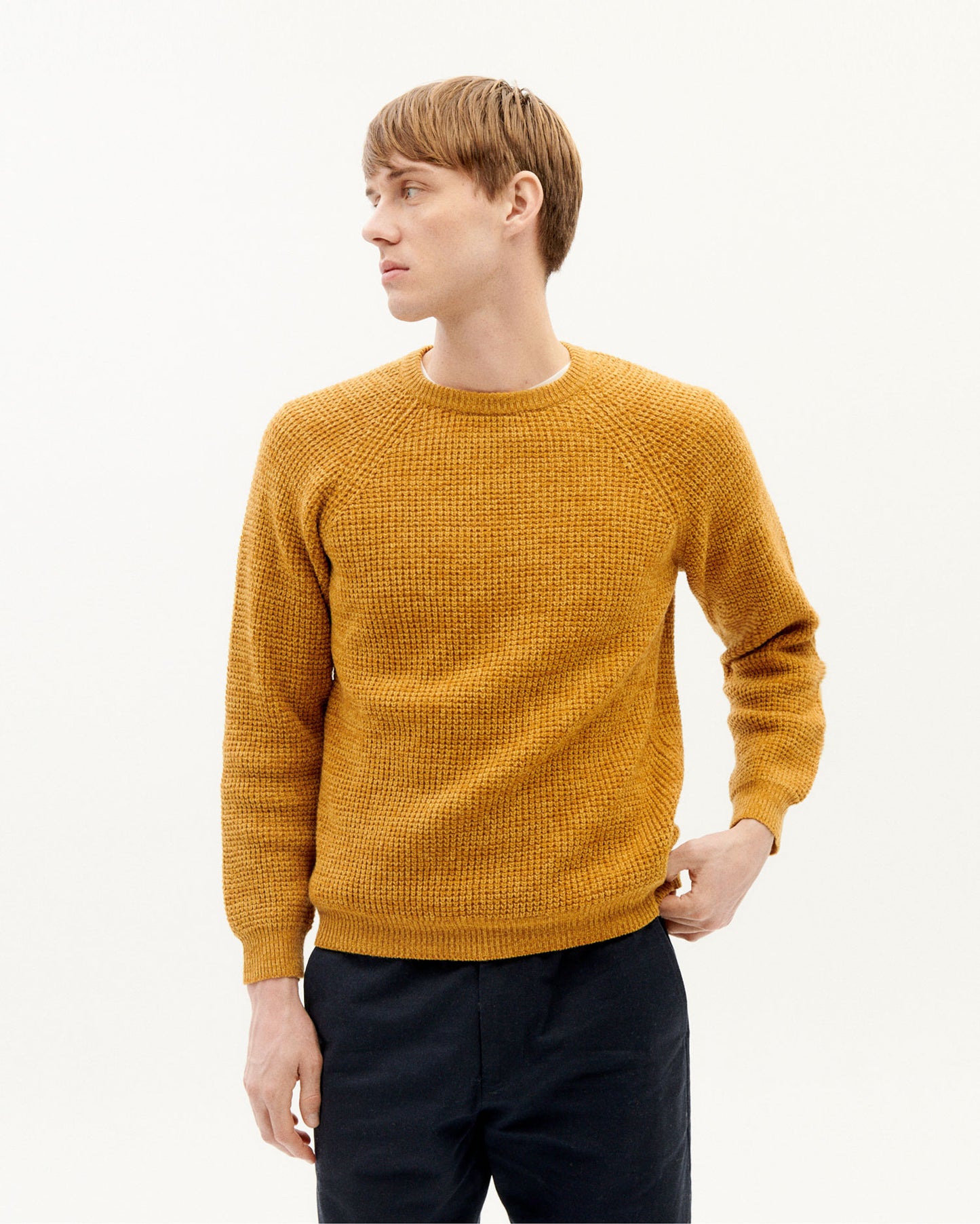anteros knitted sweater, mustard, herren - thinking mu